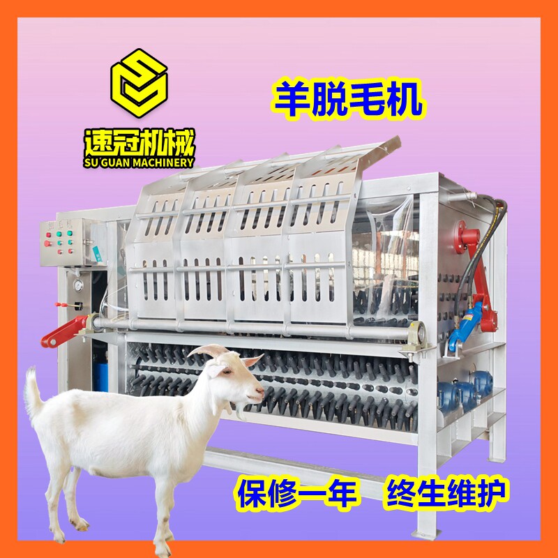 大型羊打毛机全自动猪羊狗烫毛褪毛机器屠宰场羊刮毛拔毛机去羊毛