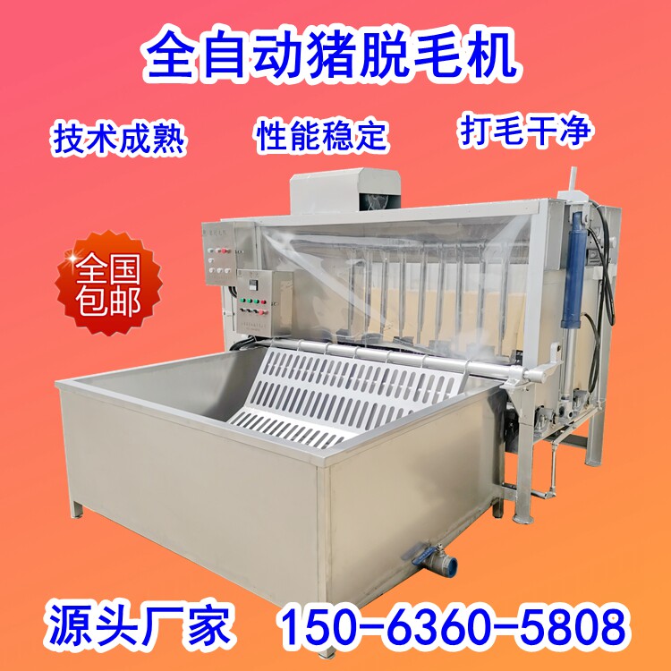 猪用小型屠宰设备屠宰场脱毛猪毛机打猪毛机商用200型生猪抛毛机