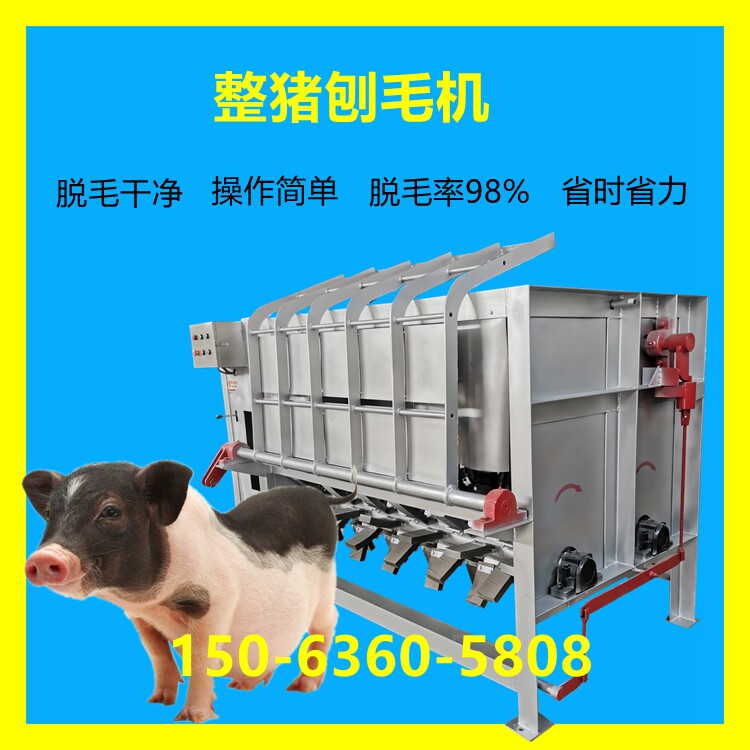 生猪拔毛机母猪肥猪刨毛机生猪退毛液压动力小型屠宰场整猪去毛机