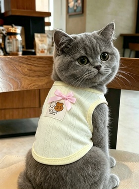 蓝猫衣服英短薄款夏天防掉毛猫背心幼猫蝴蝶结宠物透气春夏款黄色