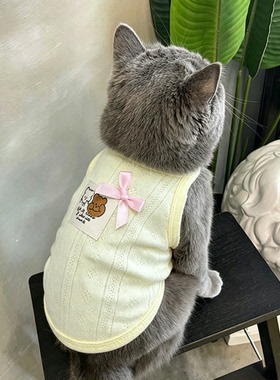 蓝猫衣服英短薄款夏天防掉毛猫背心可爱夏季卡通黄色英短猫高颜值