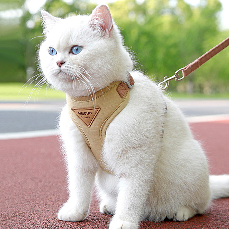 宠物猫牵引绳时尚纯色栓猫链幼猫防挣脱遛猫链可调节外出专用绳子