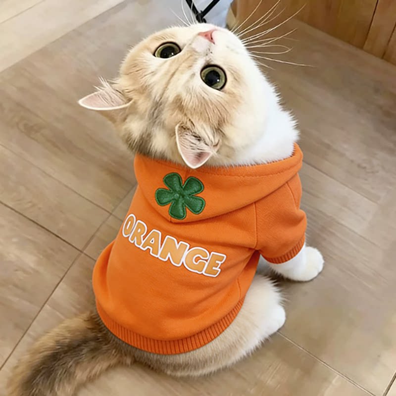 猫咪衣服秋季防掉毛高颜值布偶猫西红柿带帽卫衣户外金渐层加菲猫