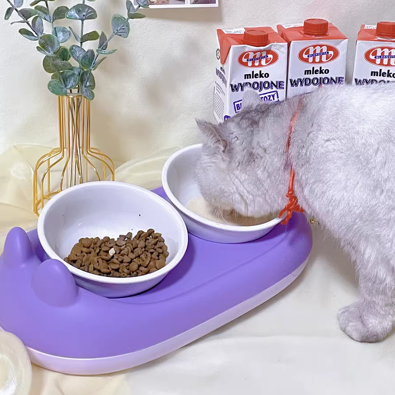 猫碗双碗陶瓷猫食盆高脚碗斜口