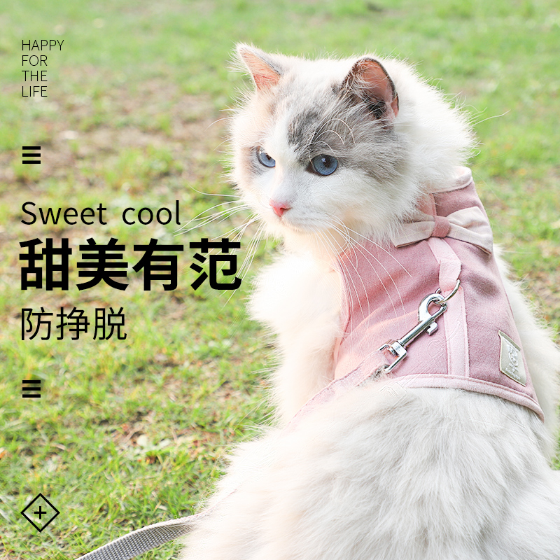 背心式牵引绳萌喵套装出行更可爱