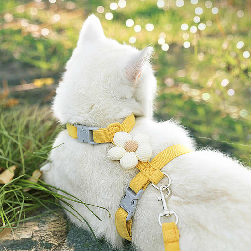 猫咪卡通牵引绳外出挣脱立体花英短蓝猫工字型调节宠物专用布偶猫,宠物/宠物食品及用品,猫牵引绳,淘宝优惠券,粉丝福利购,淘宝优惠卷