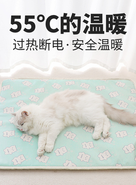 猫猫用电热毯冬天保暖德文幼猫绿色印花韩系可爱加热垫宠物电褥子