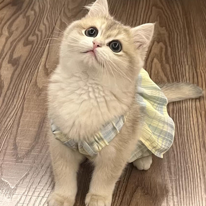 猫咪衣服公主蓬蓬裙衣服防掉毛春夏季薄款宠物格子裙蛋糕裙吊带裙