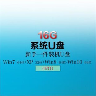 一体机笔记本台式 电脑重装 纯净版 机带PE启动一键装 系统U盘正版 机