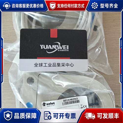 议价意大利selet赛力特传感器B01AN63NO可维修