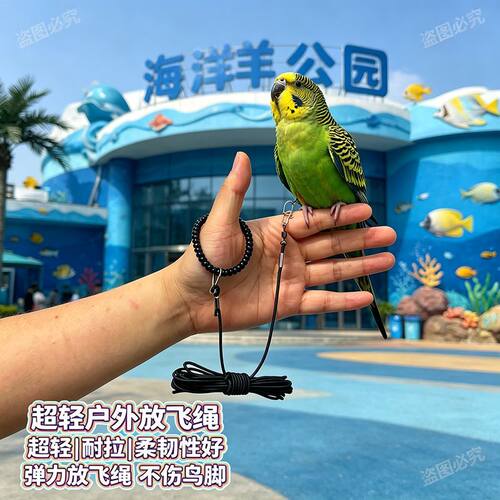 放飞绳牵引延长绳虎皮鹦鹉鸟八哥虎皮牡丹玄凤遛鸟绳鸟类用品