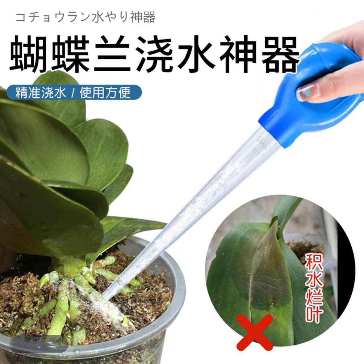 蝴蝶兰浇水神器园艺工具水壶长嘴浇花家用养花小多肉神器尖嘴专用
