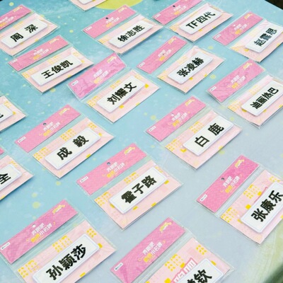 【明星姓名牌合集】白鹿周深赵露思沙溢跑男刺绣可撕拉小名牌周边