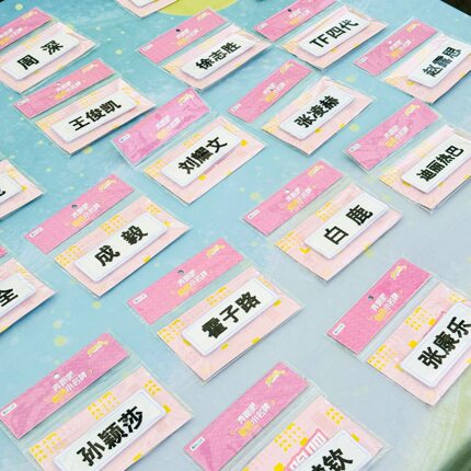 【明星姓名牌合集】白鹿周深赵露思沙溢跑男刺绣可撕拉小名牌周边