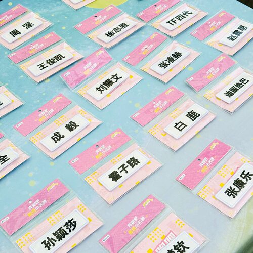 【明星姓名牌合集】白鹿周深赵露思沙溢跑男刺绣可撕拉小名牌周边
