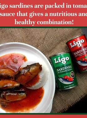 Ligo Sardines菲律宾进口沙丁鱼罐头即食鱼肉饱满下饭海鲜155g