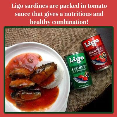 Ligo Sardines菲律宾进口沙丁鱼罐头即食鱼肉饱满下饭海鲜155g