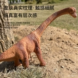 Реалистичный динозавр, игрушка, детский познавательный комплект, тираннозавр Рекс, 3-6 лет, подарок на день рождения