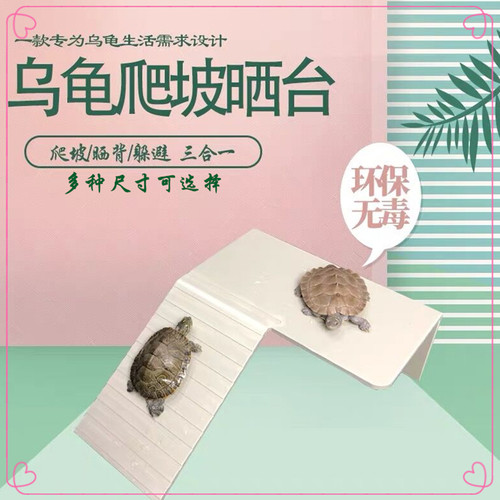 晒背水陆缸爬坡躲避塑料补钙乌龟