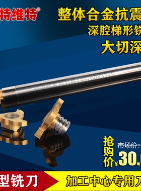 T型铣刀小径内孔铣槽刀深腔T型槽刀加工中心专用抗震刀杆铣深槽