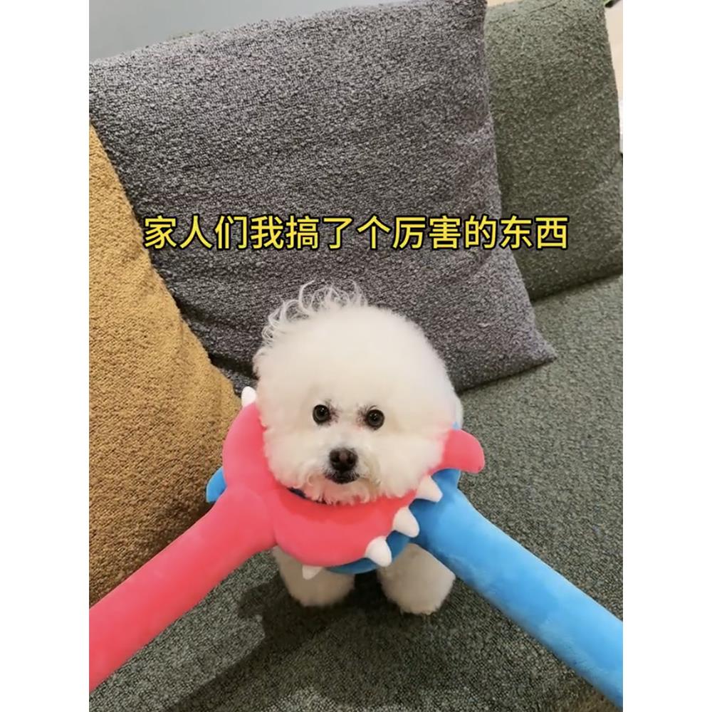 毛绒讨伐棒抓猫咪神器玩具狗狗小八可爱叉子讨伐室友同学男女朋友