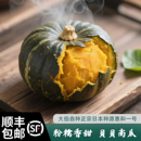 顺丰 正宗日本进口惠和一号小新鲜粉糯香甜辅食 包邮 贝贝南瓜