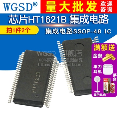 WGSD  芯片HT1621B 集成电路SSOP-48 IC (2个)