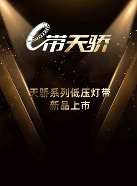 雷士照明led24v低压灯带【雷士实体店同款天骄系列】家用线形灯条