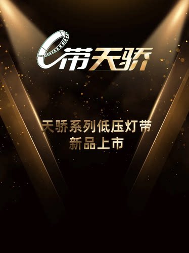 雷士照明led24v低压灯带【雷士实体店同款天骄系列】家用线形灯条