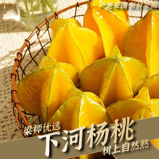 「产地现采」福建下河杨桃自然熟装4.5斤装应季水果（果包赔）