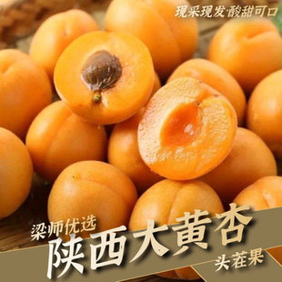 「产地直供」陕西大黄杏贵妃红杏新鲜上市应季水果(精选托盘装)