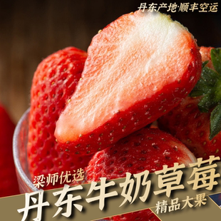 【顺丰空运】丹东现采牛奶草莓冰点99奶油红颜孕妇新鲜水果