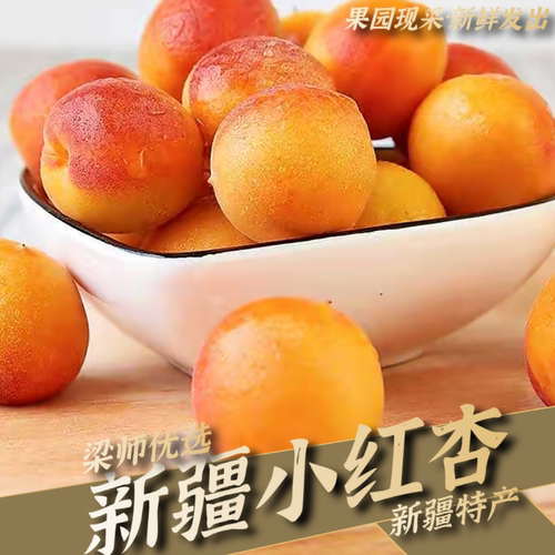 「产地发货」新疆小红杏清爽甘甜应季水果整箱3斤4斤（坏果包赔）