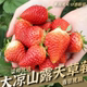 3斤5斤 「果园现采」大凉山露天采摘草莓巧克力草莓新鲜应季 水果