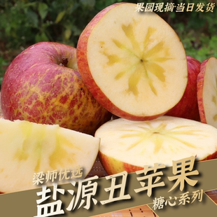 「现采新果」四川大凉山盐源苹果丑苹果 80mm大果糖心稍待