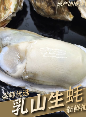 「鲜活捕捞」乳山生蚝牡蛎新鲜海鲜5斤装出口品质（顺丰冷链）