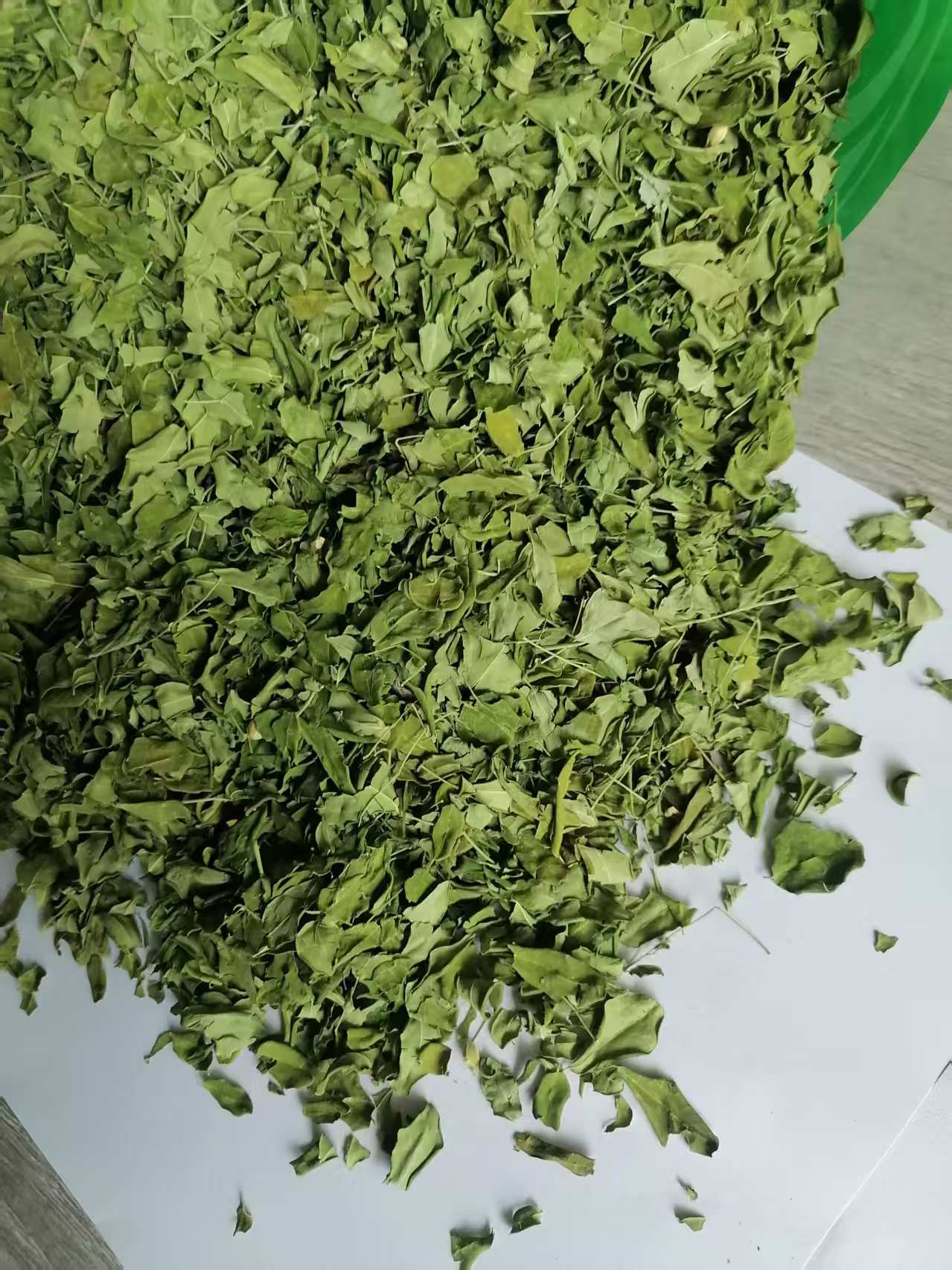 农产品靓绿辣木叶正品印度南非引种辣木籽叶干叶新鲜自然晒干养生