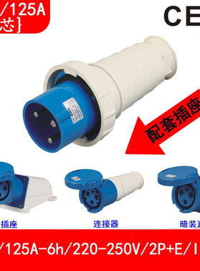 CEE防水插座125A-6h/250v/3芯工业插头暗装明装移动式TYP-043/343
