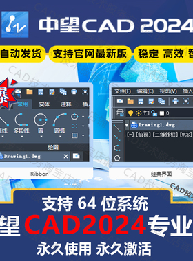 中望cad2024软件安装专业版中文简体软件免激活包代远程定制服务