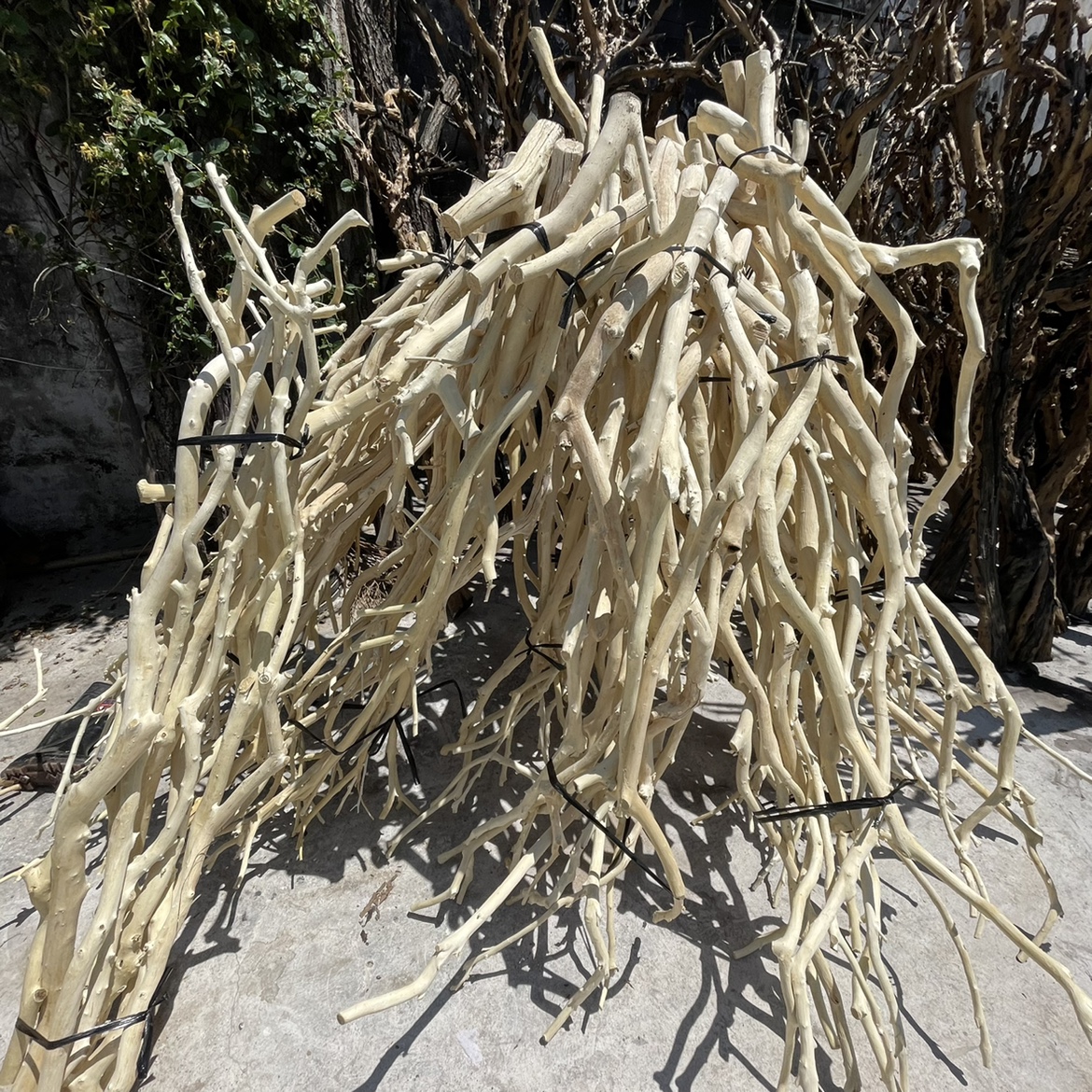 插花枯木挂件造型衣架客厅干树枝