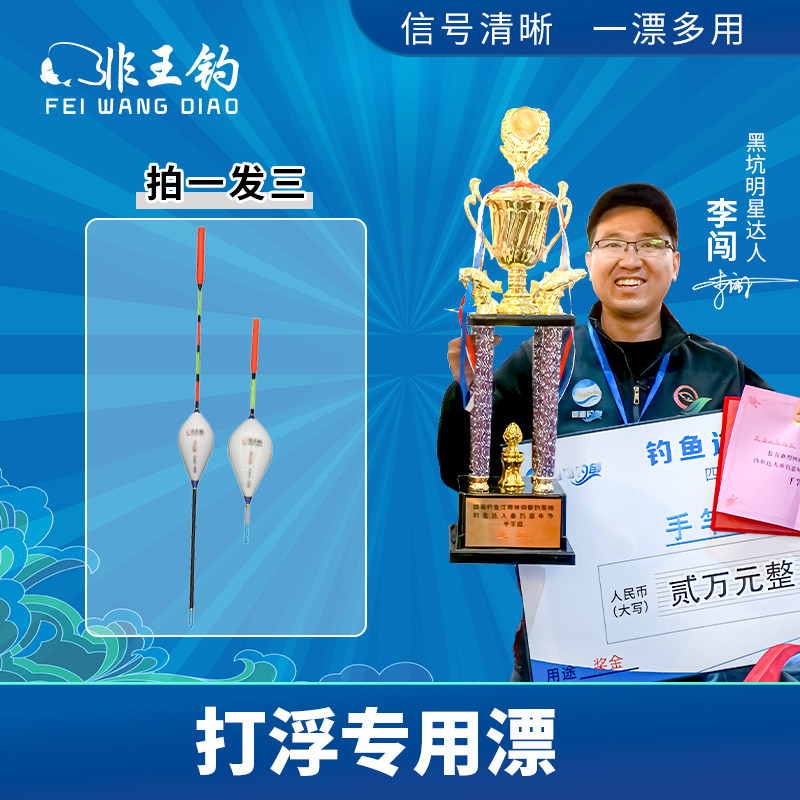 非王钓打浮专用漂黑坑浮钓漂草鱼
