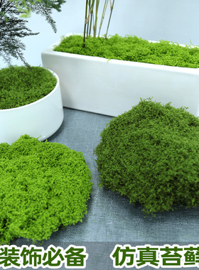 仿真苔藓草皮假青苔微景观摆件草坪园艺盆景铺面绿化造景厂家直销