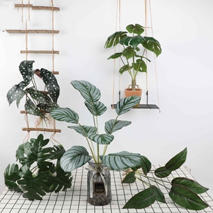 仿真绿植龟背竹叶春雨草家居装饰绿植小草摆件仿真花道具假花