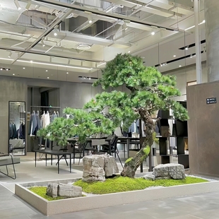 仿真松树室内造景装饰假树枯山水景观摆件橱窗造型树绿植可定制