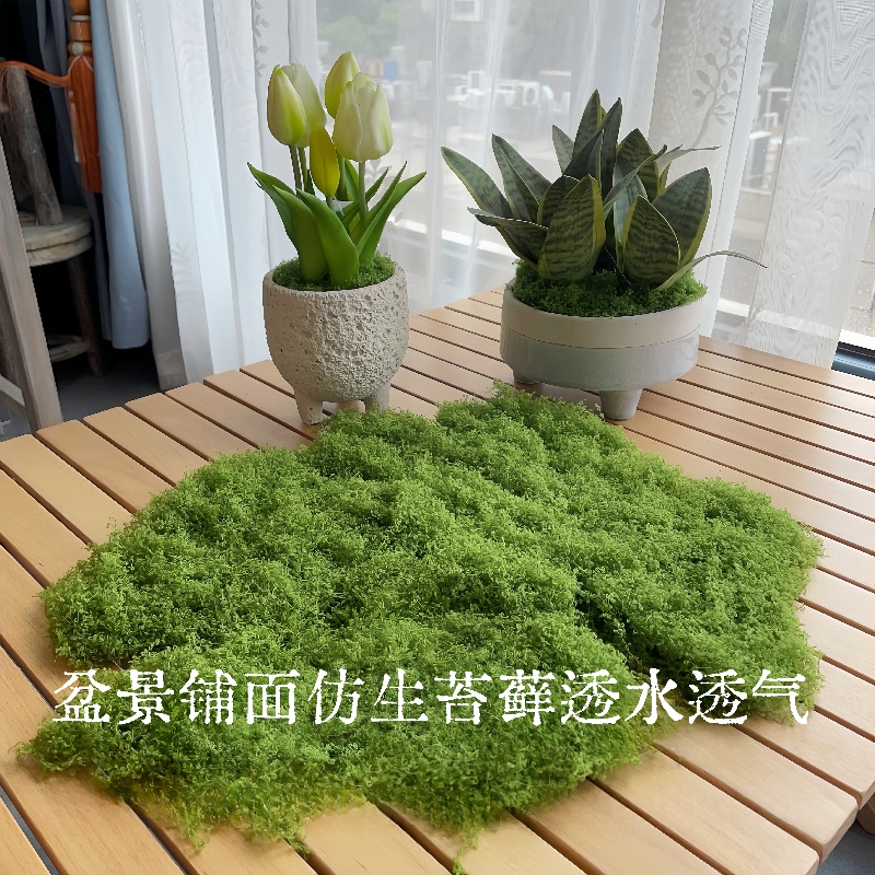 仿真青苔苔藓植绒草皮石盆景装饰