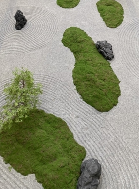 仿真苔藓 草皮 造景布置 盆景铺面装饰 仿真草坪 假青苔 室内绿植