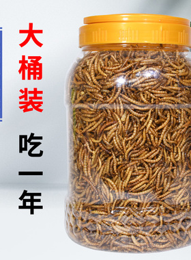 面包虫干黄粉虫干鸟食仓鼠龟粮鱼食八哥粮芦丁鸡鹦鹉饲料宠物零食
