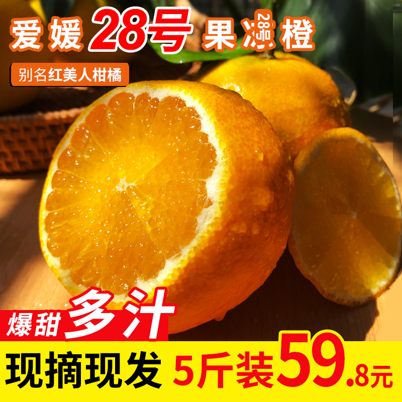 漳州福建果冻橙红美人28