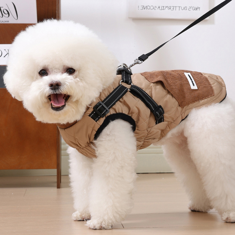 小狗狗衣服中小型犬雪纳瑞泰迪比熊两脚棉衣可牵引保暖加绒棉马甲