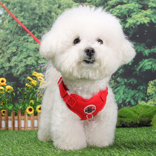 背心式狗狗牵引绳宠物胸背带